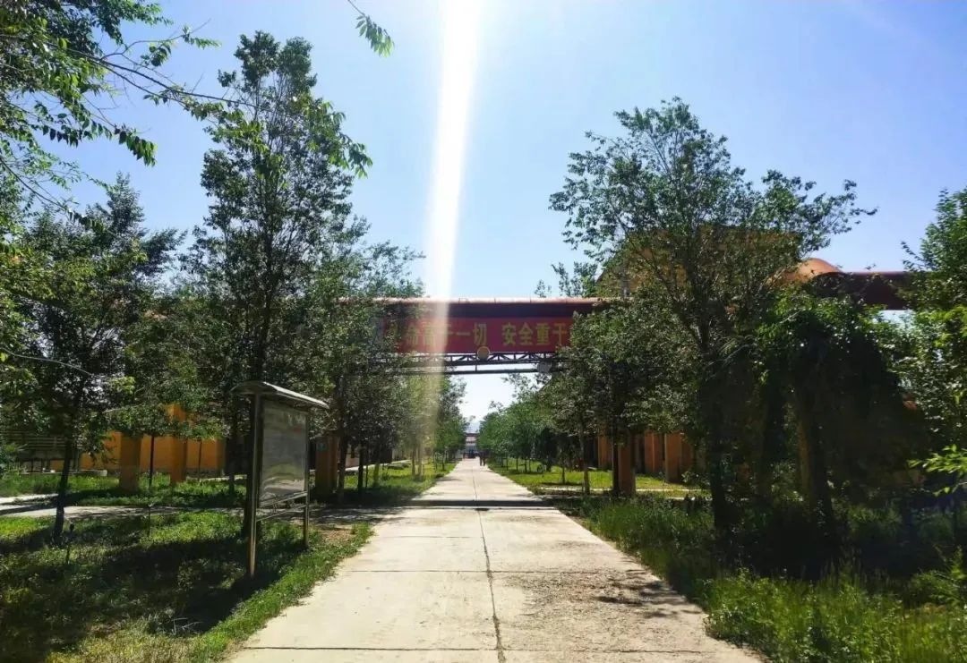 寶石花·有聲 | 十年，我愛上了你——恒盛
